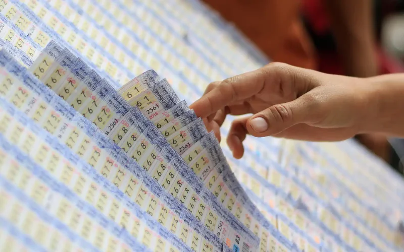 nagaland state lottery sambad at Lottery Sambad Result body image